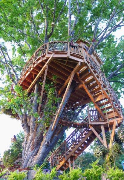 Ağaç dallarının arasına yapılan muhteşem ev