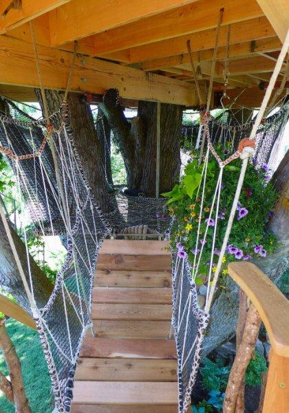 Ağaç dallarının arasına yapılan muhteşem ev