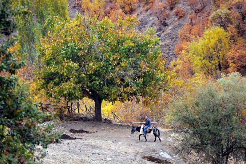 Hizan'ın saklı güzellikleri