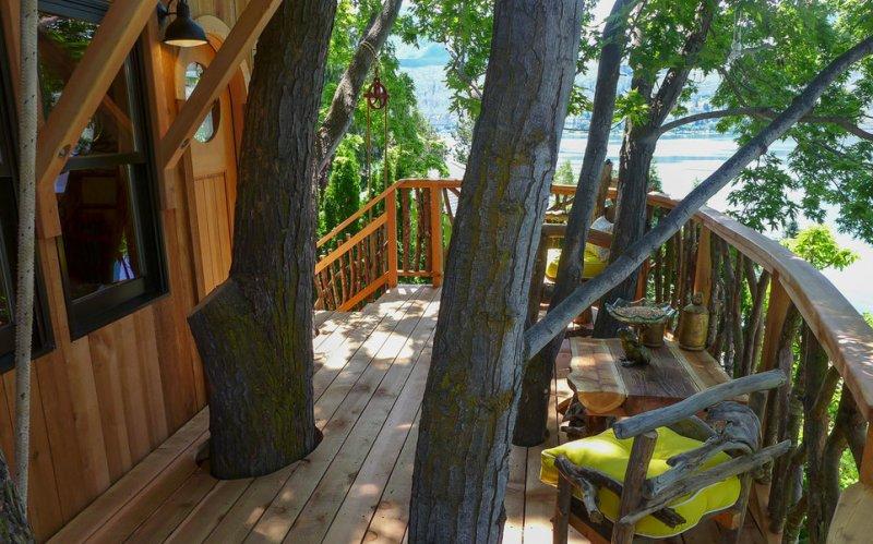 Ağaç dallarının arasına yapılan muhteşem ev