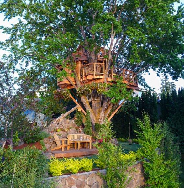 Ağaç dallarının arasına yapılan muhteşem ev