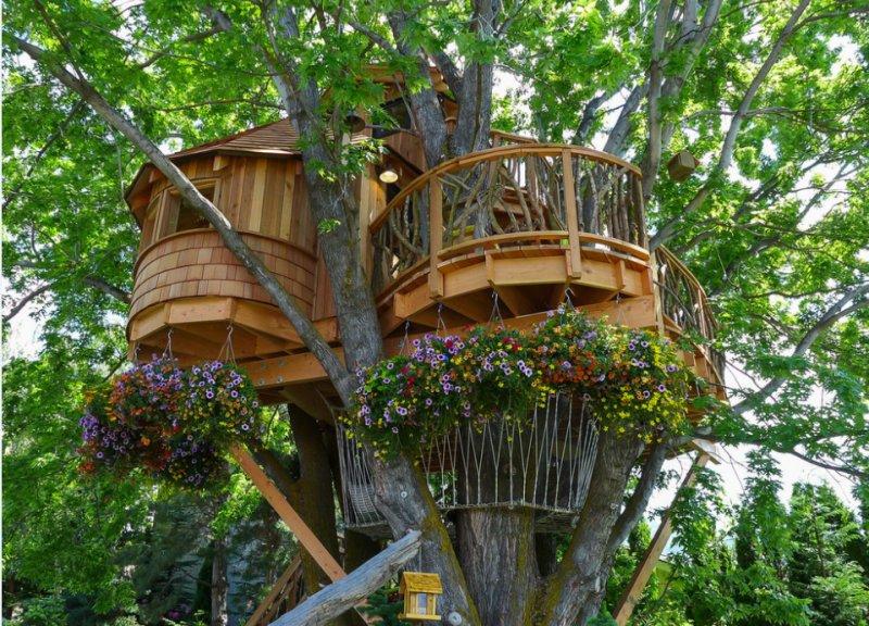 Ağaç dallarının arasına yapılan muhteşem ev