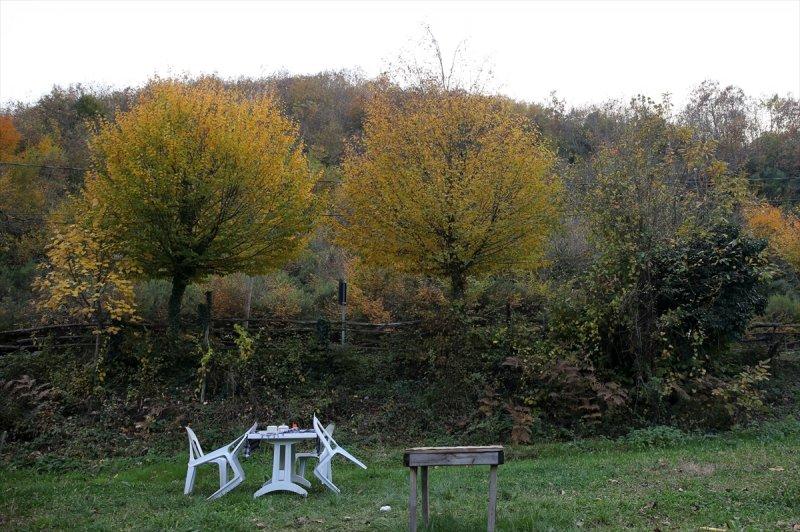 Sonbaharın renkleri İstanbul'da