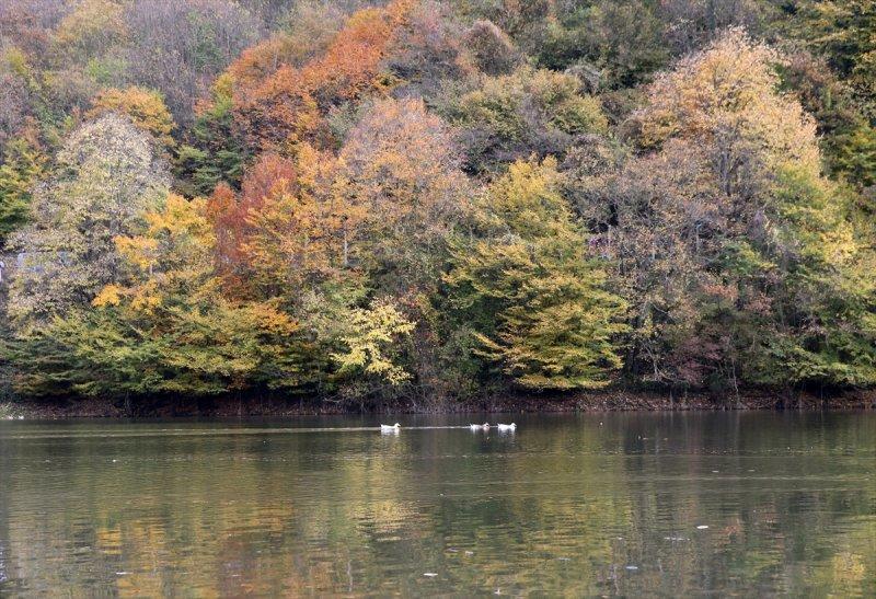 Sonbaharın renkleri İstanbul'da