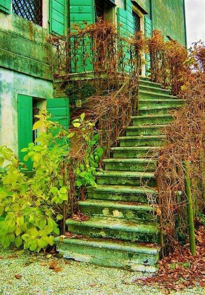 Yaratıcı merdiven tasarımları