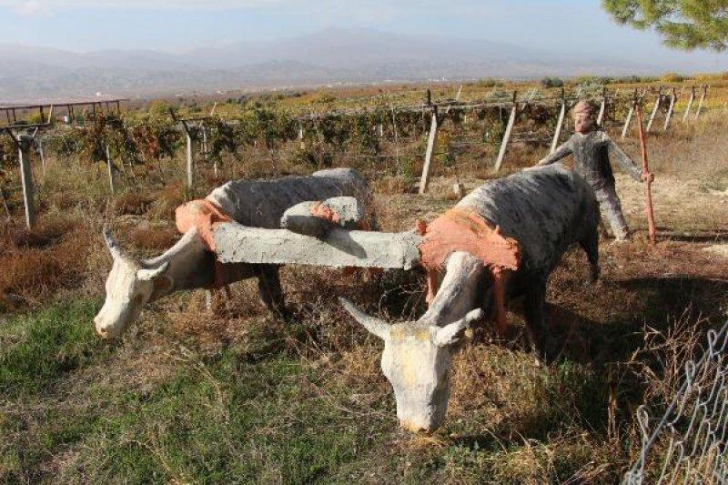 Kaplumbağa görünümlü ev ve yapılış nedeni şaşırttı