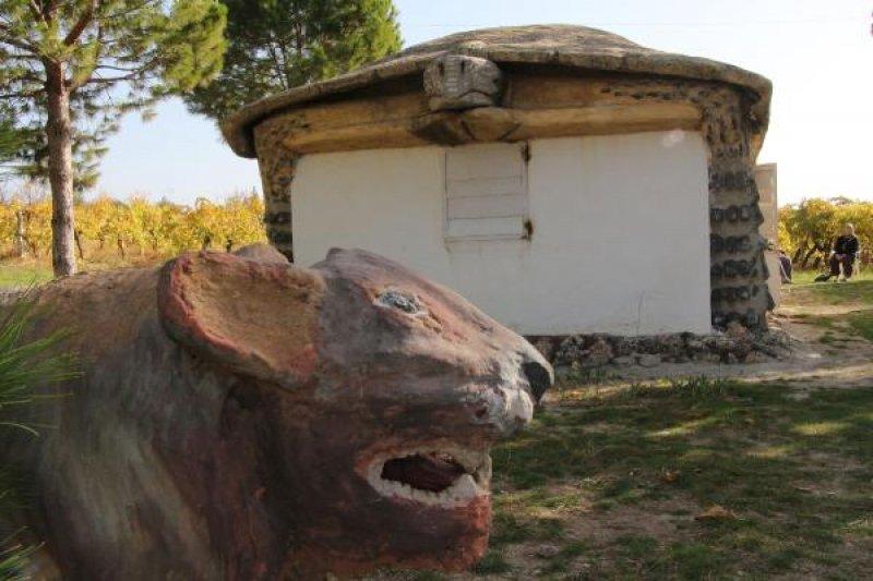 Kaplumbağa görünümlü ev ve yapılış nedeni şaşırttı