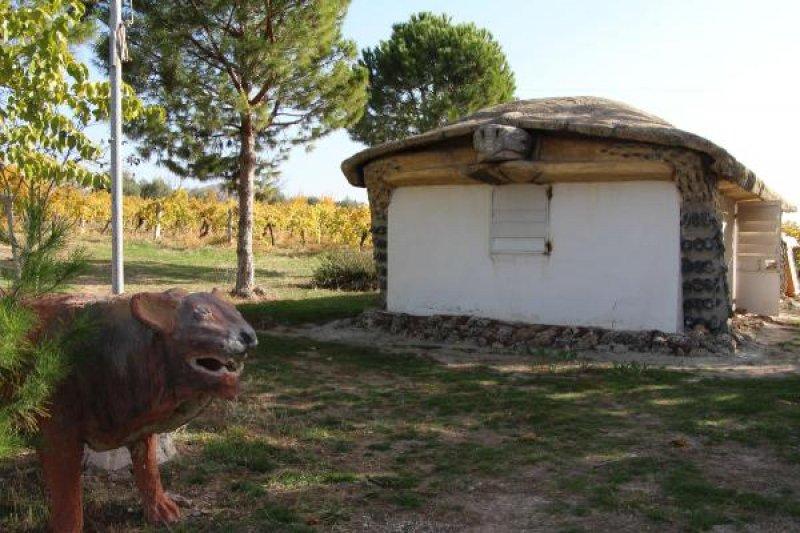 Kaplumbağa görünümlü ev ve yapılış nedeni şaşırttı