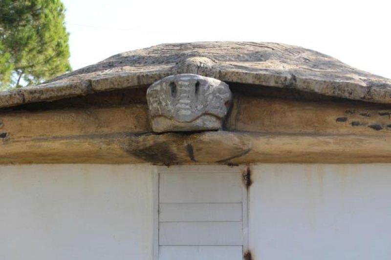 Kaplumbağa görünümlü ev ve yapılış nedeni şaşırttı