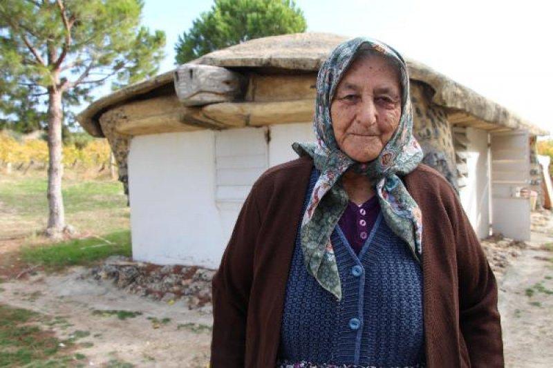 Kaplumbağa görünümlü ev ve yapılış nedeni şaşırttı