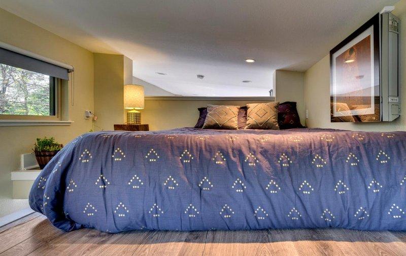 Müzisyen Asha Mevlana için tasarlanan muhteşem ev 