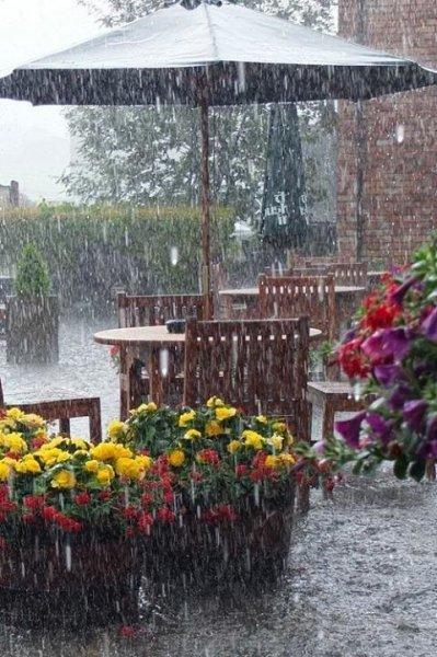 Yağmurlu havalarda çekilmiş güzel fotoğraflar 