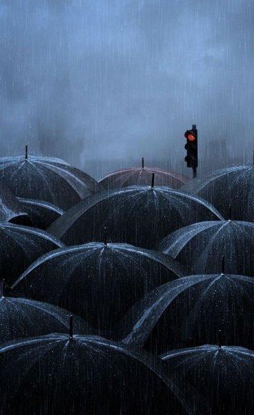 Yağmurlu havalarda çekilmiş güzel fotoğraflar 