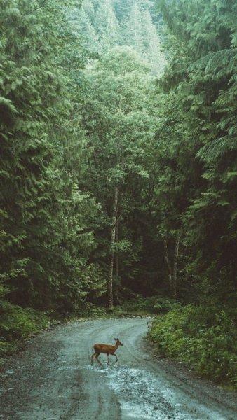 Yağmurlu havalarda çekilmiş güzel fotoğraflar 