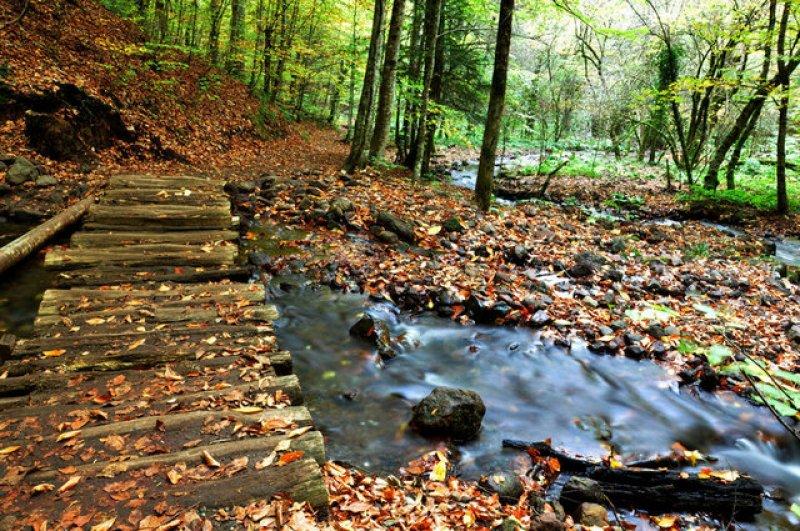 Sonbaharda görmeniz gereken yerler