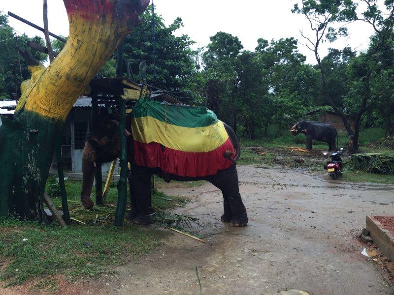 Yağmurlu havalarda çekilmiş güzel fotoğraflar 