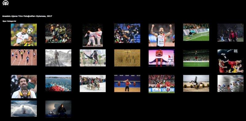 AA 'Yılın Fotoğrafı' oylaması başladı