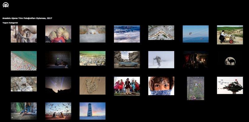 AA 'Yılın Fotoğrafı' oylaması başladı