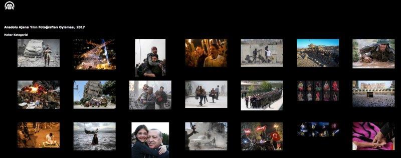 AA 'Yılın Fotoğrafı' oylaması başladı