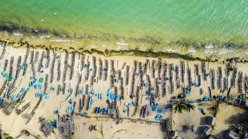 AA 'Yılın Fotoğrafı' oylaması başladı