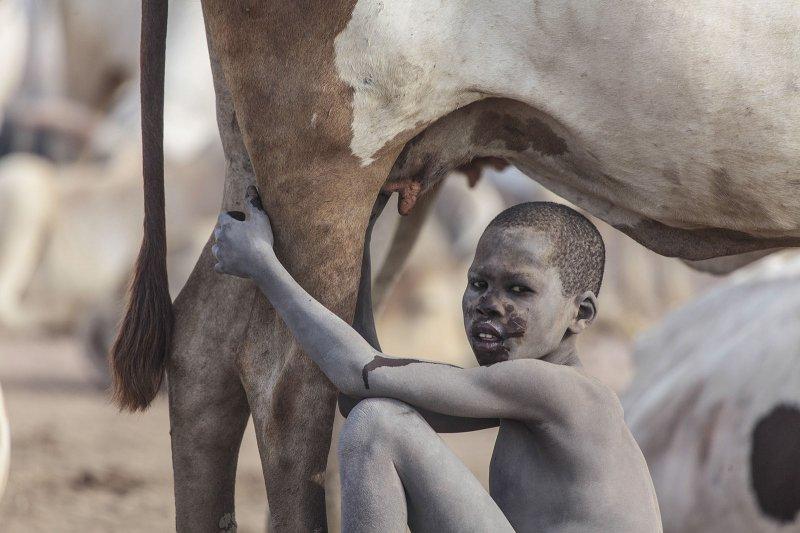 AA 'Yılın Fotoğrafı' oylaması başladı