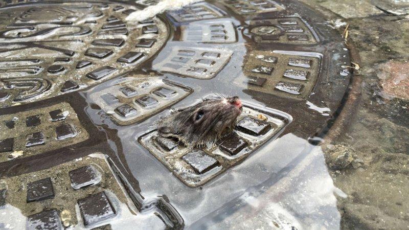 AA 'Yılın Fotoğrafı' oylaması başladı