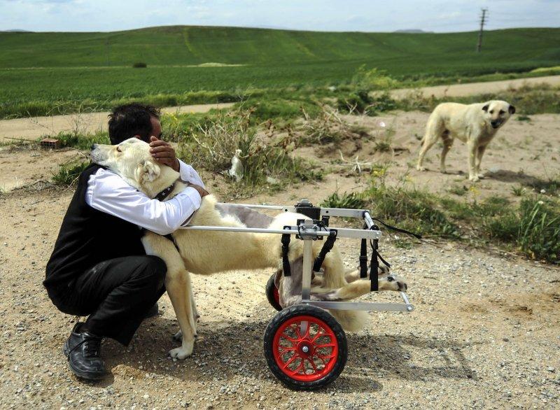 AA 'Yılın Fotoğrafı' oylaması başladı