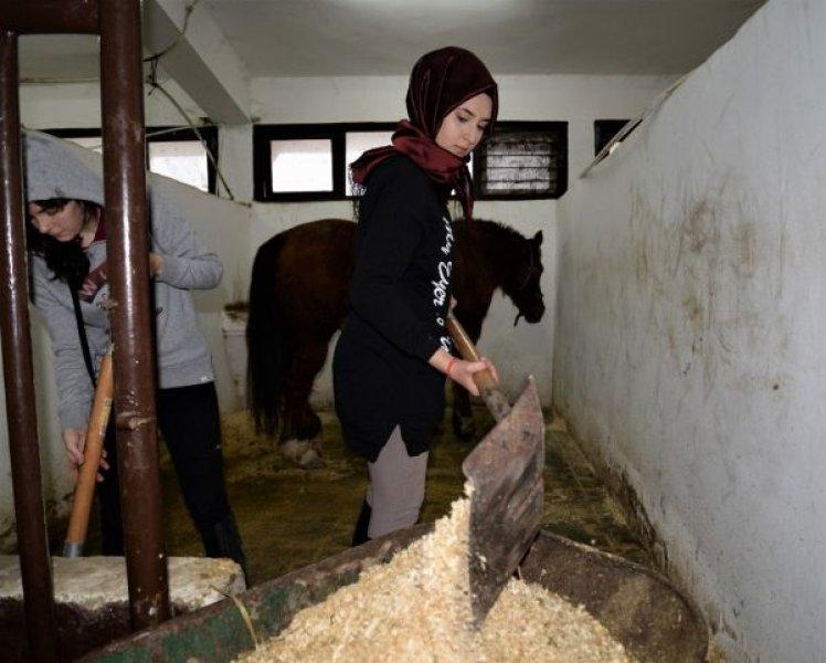 Üniversiteli kızlar, ojeli tırnaklarla atlara nal çakıyor