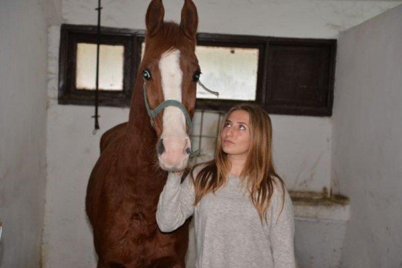 Üniversiteli kızlar, ojeli tırnaklarla atlara nal çakıyor