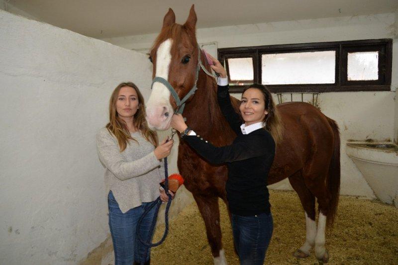 Üniversiteli kızlar, ojeli tırnaklarla atlara nal çakıyor