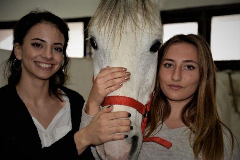 Üniversiteli kızlar, ojeli tırnaklarla atlara nal çakıyor