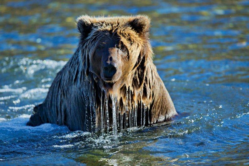 Küresel ısınmanın acı yüzü