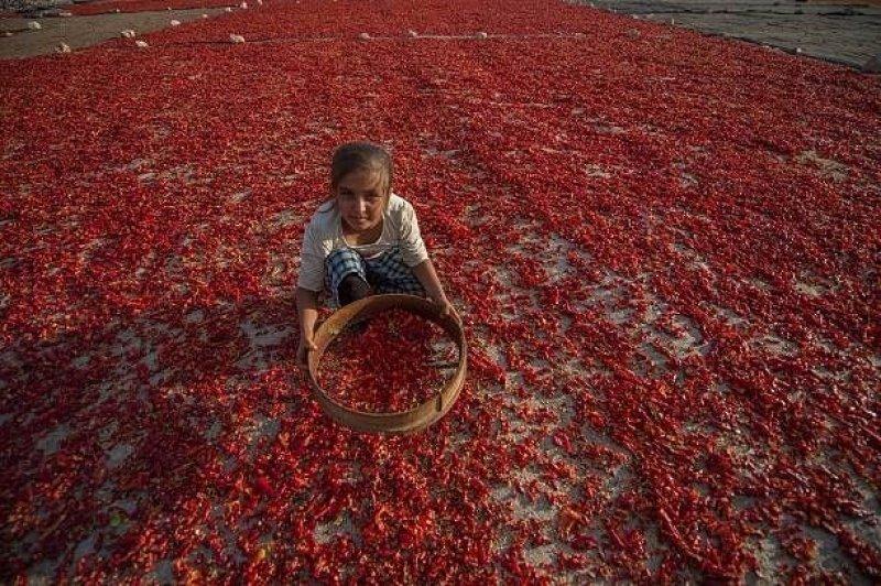 Peygamberler şehri Şanlıurfa'yı gezmek için 10 neden