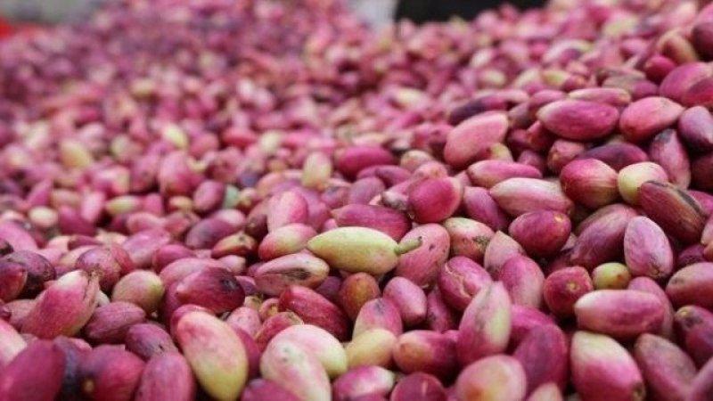 Peygamberler şehri Şanlıurfa'yı gezmek için 10 neden