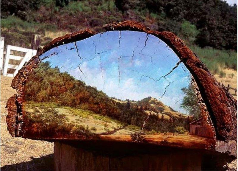 Ağaç kütükleri üzerine çizilmiş gerçek manzaralar