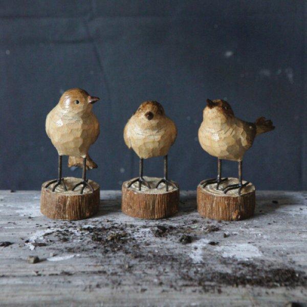 Organik dekorasyon fikirleri 