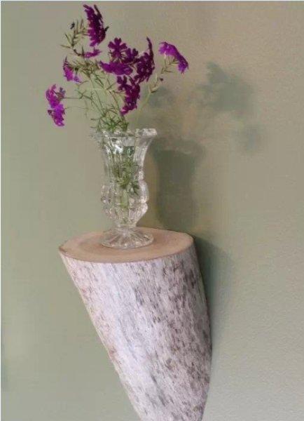 Organik dekorasyon fikirleri 