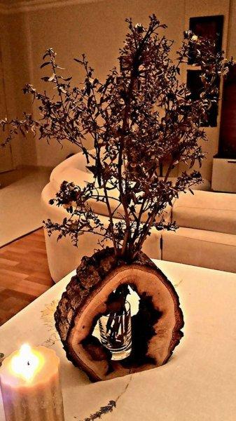 Organik dekorasyon fikirleri 