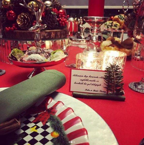 Pelin Karahan'ın oğlu Ali Demir 3 yaşında