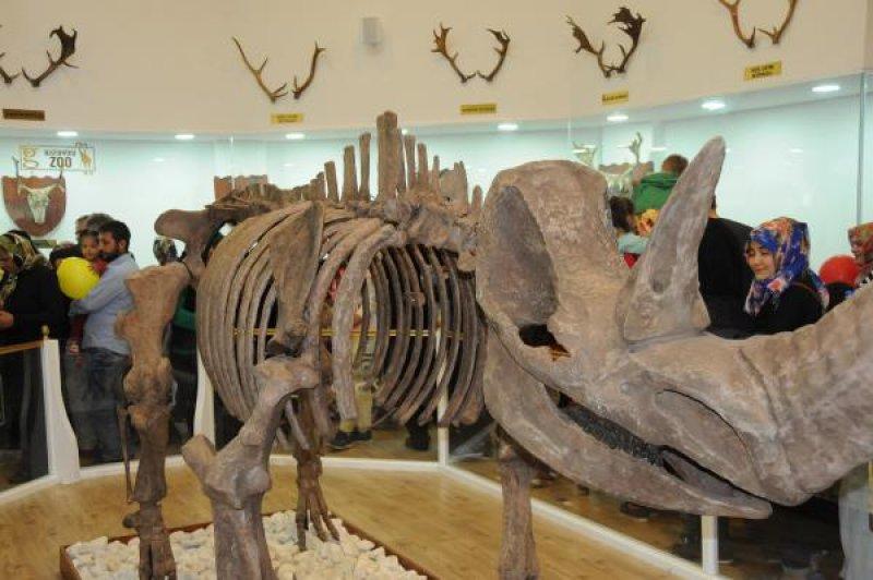 Gaziantep'teki Türkiye'nin ilk Zooloji Müzesi, eğitim merkezi halini aldı