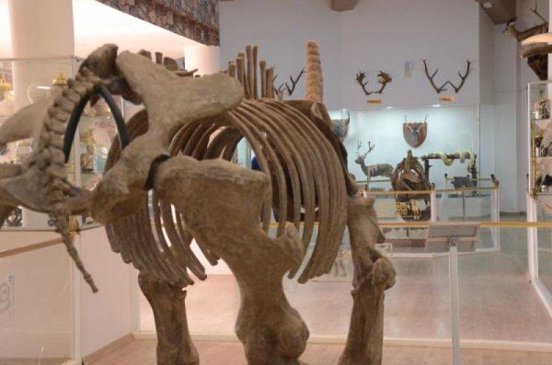 Gaziantep'teki Türkiye'nin ilk Zooloji Müzesi, eğitim merkezi halini aldı