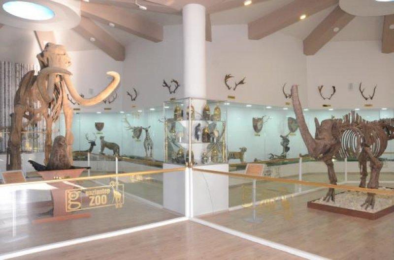 Gaziantep'teki Türkiye'nin ilk Zooloji Müzesi, eğitim merkezi halini aldı