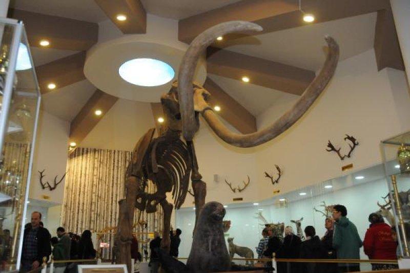 Gaziantep'teki Türkiye'nin ilk Zooloji Müzesi, eğitim merkezi halini aldı