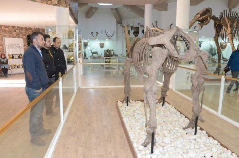 Gaziantep'teki Türkiye'nin ilk Zooloji Müzesi, eğitim merkezi halini aldı