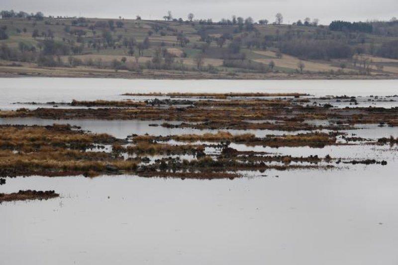 Samsun’da bulunan Ladik Gölü tehlike altında