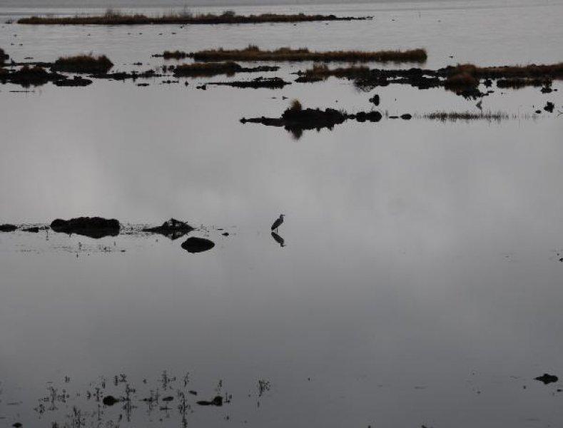 Samsun’da bulunan Ladik Gölü tehlike altında