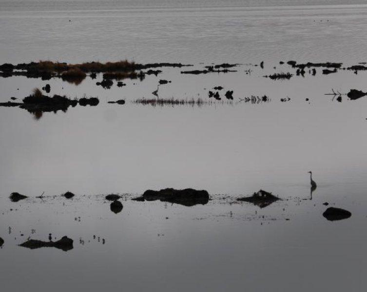 Samsun’da bulunan Ladik Gölü tehlike altında