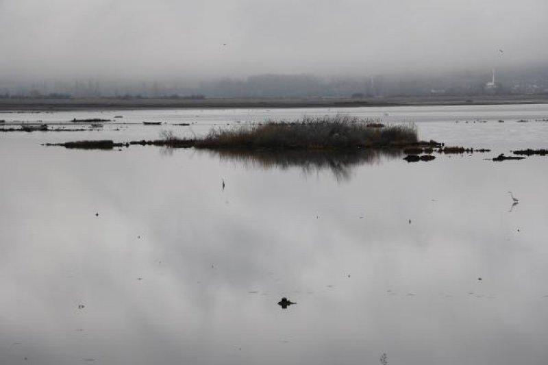 Samsun’da bulunan Ladik Gölü tehlike altında
