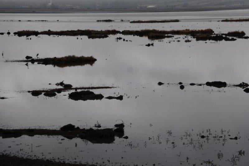 Samsun’da bulunan Ladik Gölü tehlike altında
