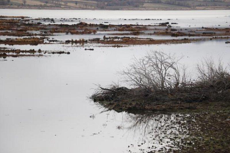 Samsun’da bulunan Ladik Gölü tehlike altında